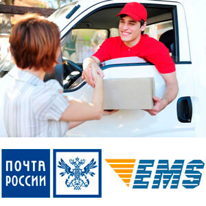 Доставка медицинских справок